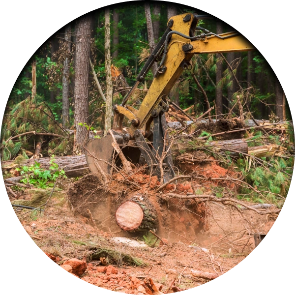 Icon JunkRemoval Black Ridge Hauling & Excavating Sumrall, MS 1