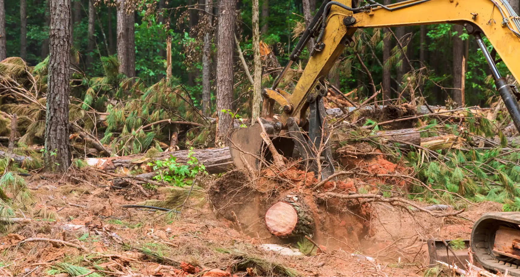 LandClearing Black Ridge Hauling & Excavating Sumrall, MS